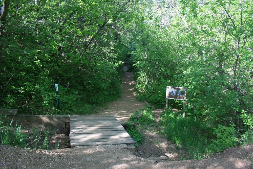 MANITOU INCLINE ALTERNATES